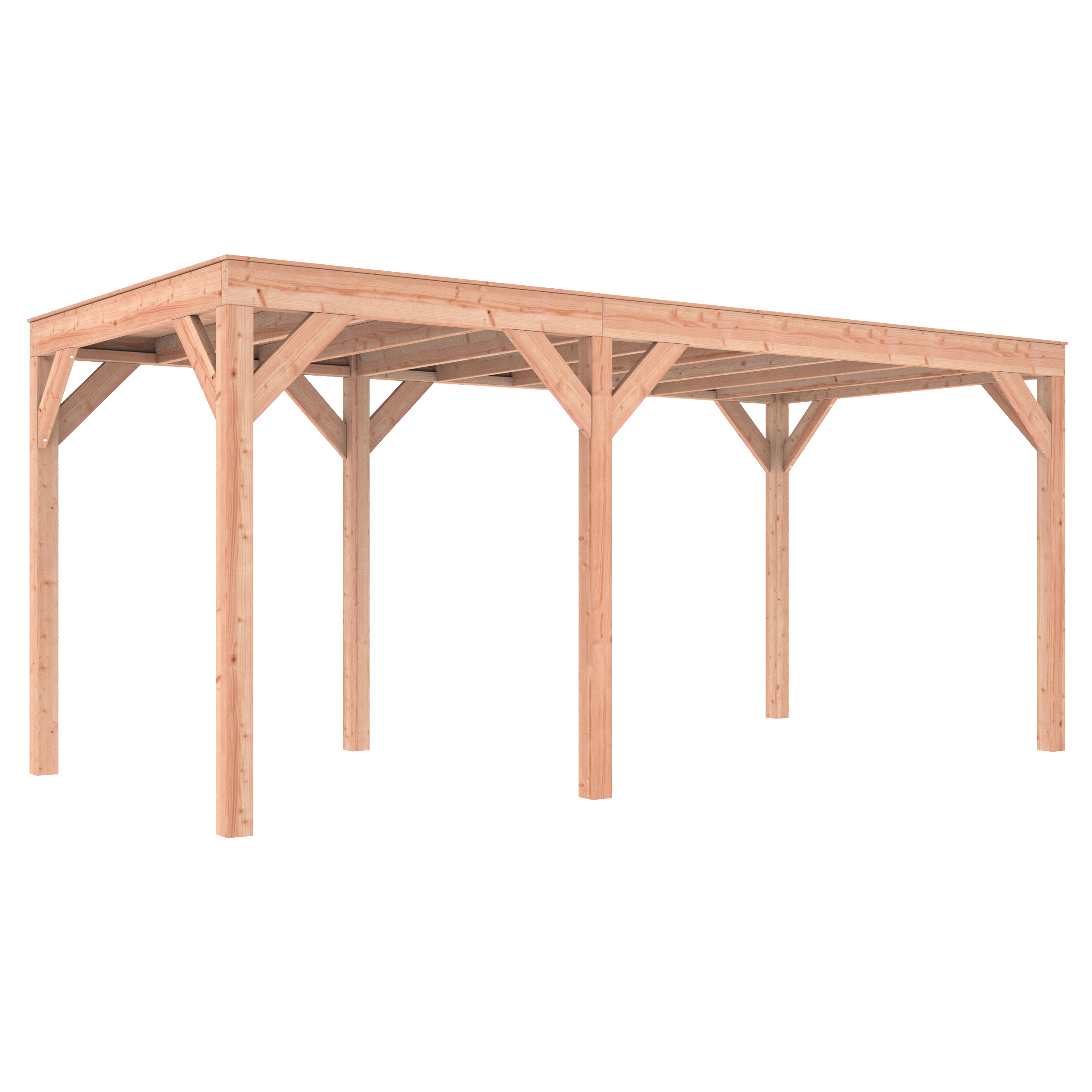 Douglas A-Sym/1 overkapping 550 x 250 cm - Afbeelding 3